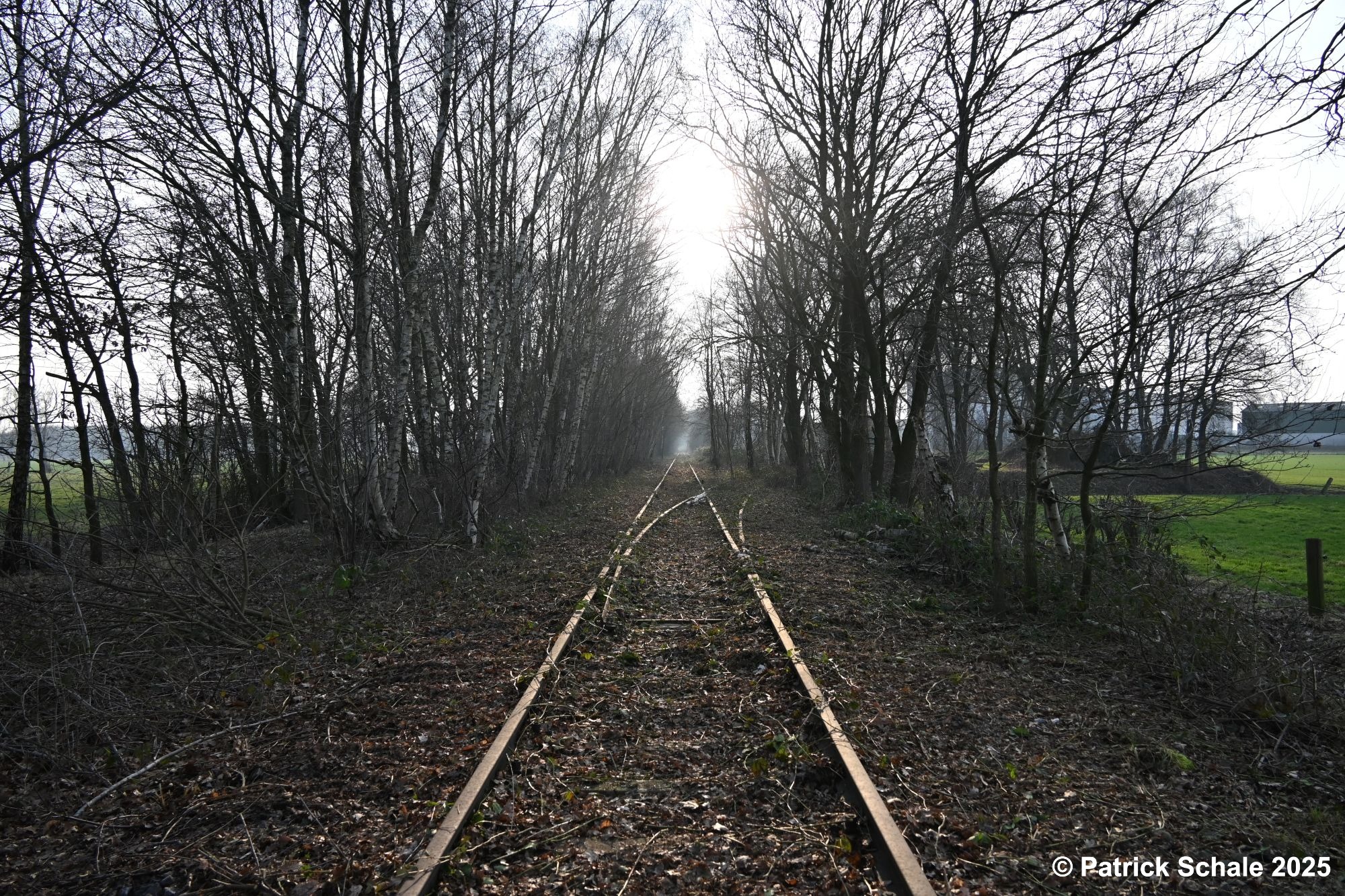 Freigeschnittene Strecke im Bahnhof Varrel mit einer Weiche