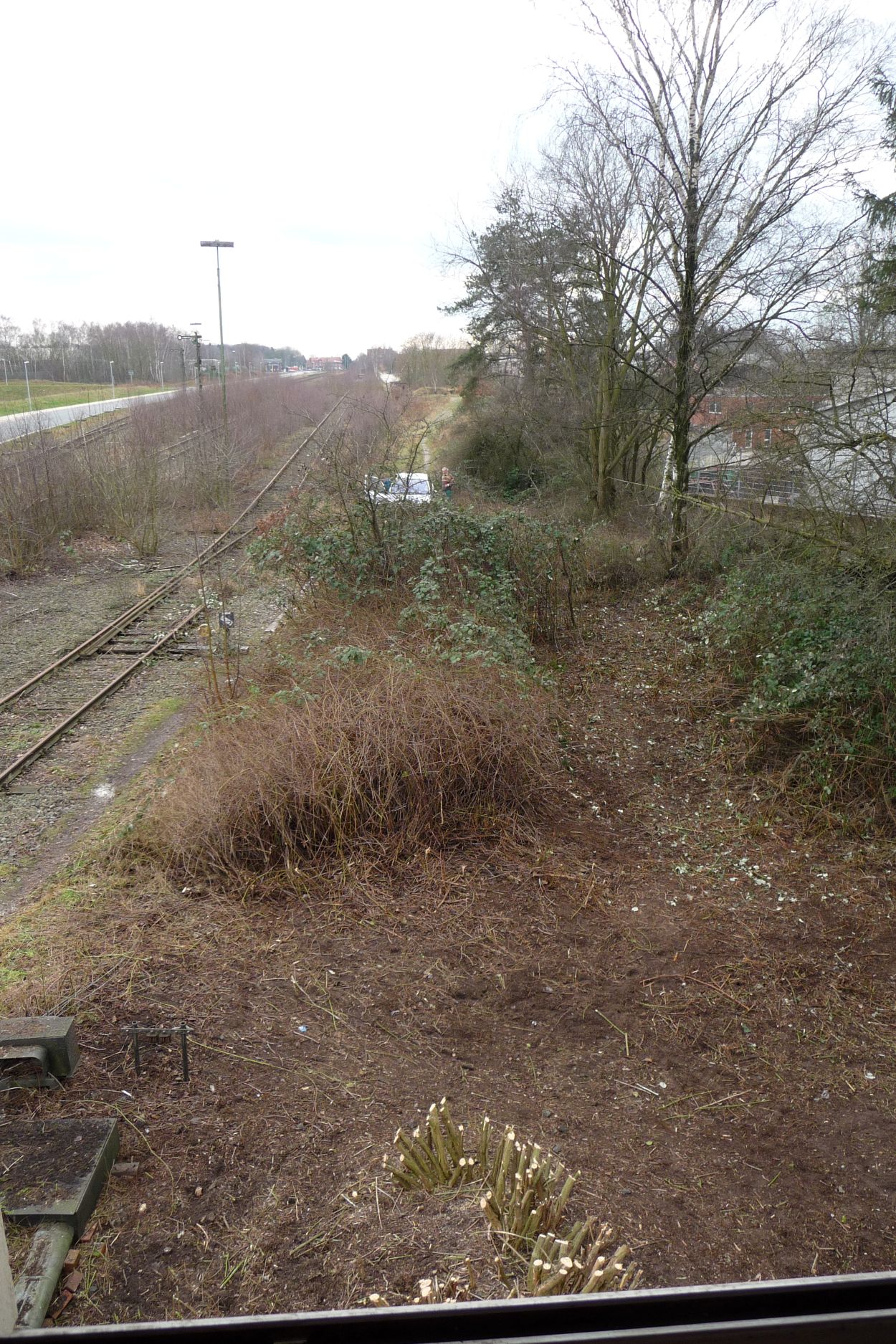 Blick aus dem Stellwerk Sn in Richtung Süden während des Freischnitts