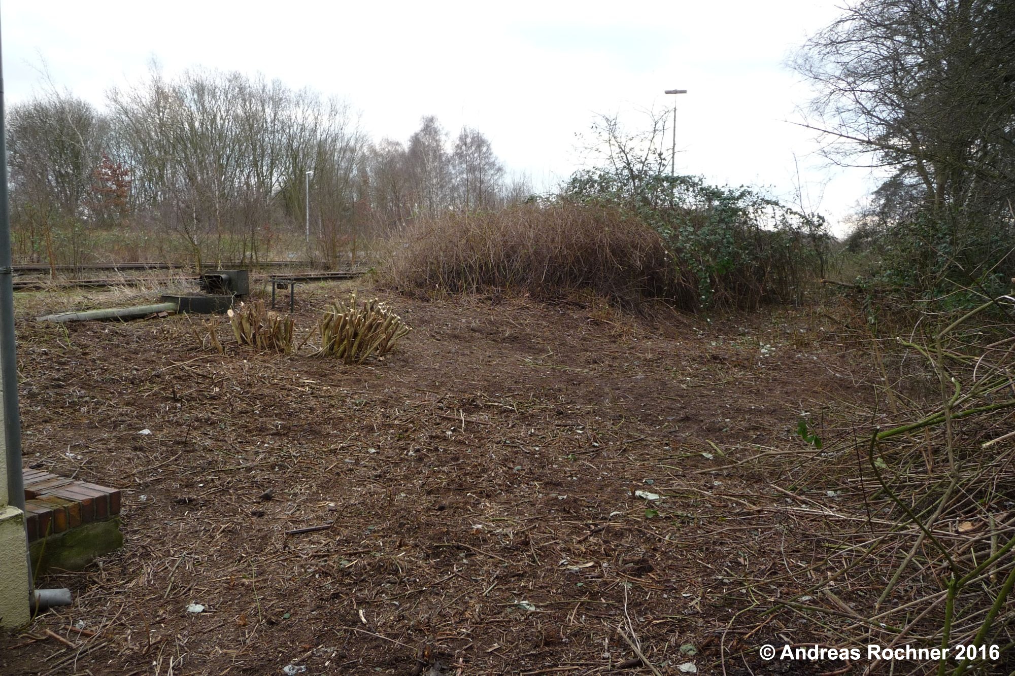 Freischneidearbeiten am Stellwerk Sn