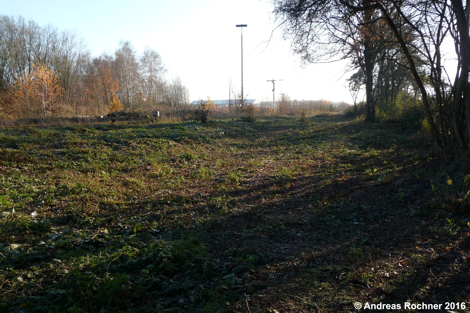 Zuwegung zum Stellwerk nach dem Freischnitt