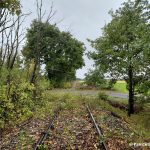 Blick zurück nach dem Start des Freischnitts im Oktober 2025, der Abschnitt hinter dem Bahnübergang wurde im Winter 2024/2025 freigeschnitten, Blickrichtung Varrel