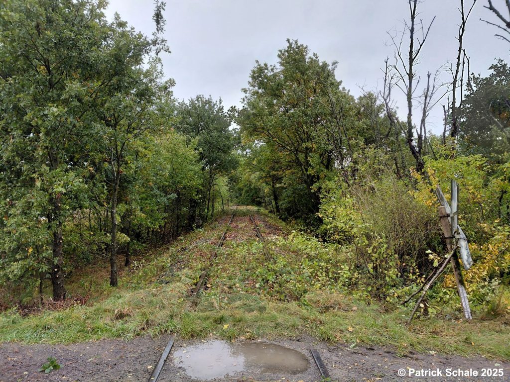 Blick auf den im Oktober 2025 freigeschnittenen Streckenabschnitt zwischen Varrel und Barenburg, Blickrichtung Barenburg