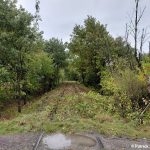 Blick auf den im Oktober 2025 freigeschnittenen Streckenabschnitt zwischen Varrel und Barenburg, Blickrichtung Barenburg