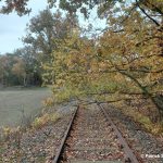 Startpunkt Freischnitt zwischen Varrel und Barenburg im November 2025, Blickrichtung Barenburg