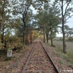 Blick auf das freigeschnittene Gleis bei Kilometer 57,6, Blickrichtung Varrel