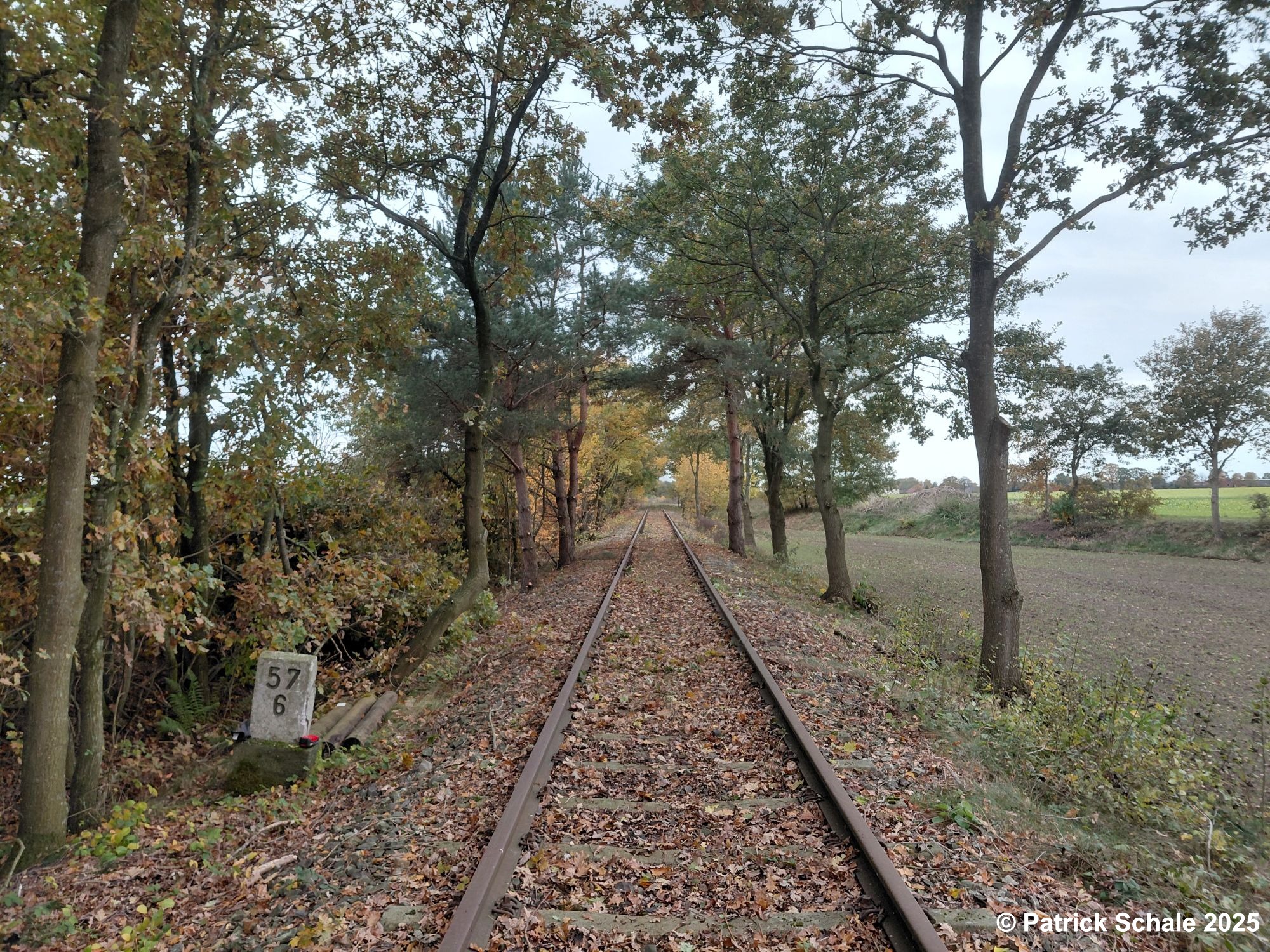 Blick auf das freigeschnittene Gleis bei Kilometer 57,6, Blickrichtung Varrel