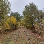 Blick auf das freigeschnittene Gleis nach 2 Arbeitseinsätzen vom Startpunkt beim ersten Arbeitseinsatz im Oktober 2025, Blickrichtung Barenburg