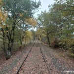 Blick auf das freigeschnittene Gleis nach 2 Arbeitseinsätzen, links der Kilometerstein 57,5, Blickrichtung Barenburg