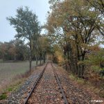 Startpunkt Freischnitt zwischen Varrel und Barenburg im November 2025 nachdem 2. Arbeitseinsatz, Blickrichtung Barenburg