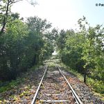 Freigeschnittener Streckenabschnitt nach dem Arbeitseinsatz im Oktober 2025, Blickrichtung Varrel