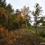 Freigeschnittener Streckenabschnitt nach dem Arbeitseinsatz im November 2025, Blickrichtung Varrel