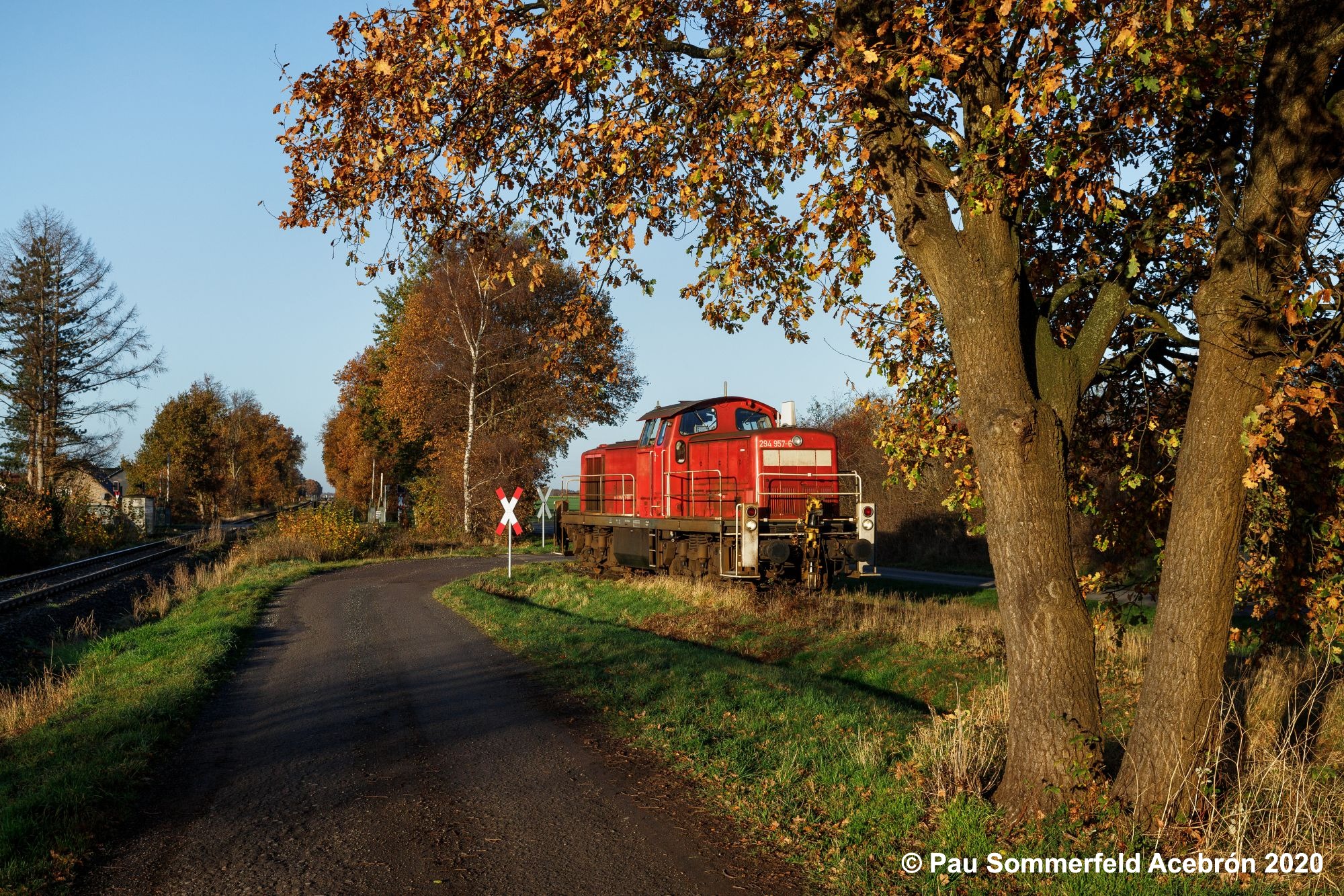 Diesellok 294 957 der DB Cargo AG in verkehrsrot fährt bei herbstlicher Stimmung in das Anschlussgleis der BTR - Transportlogistik GmbH