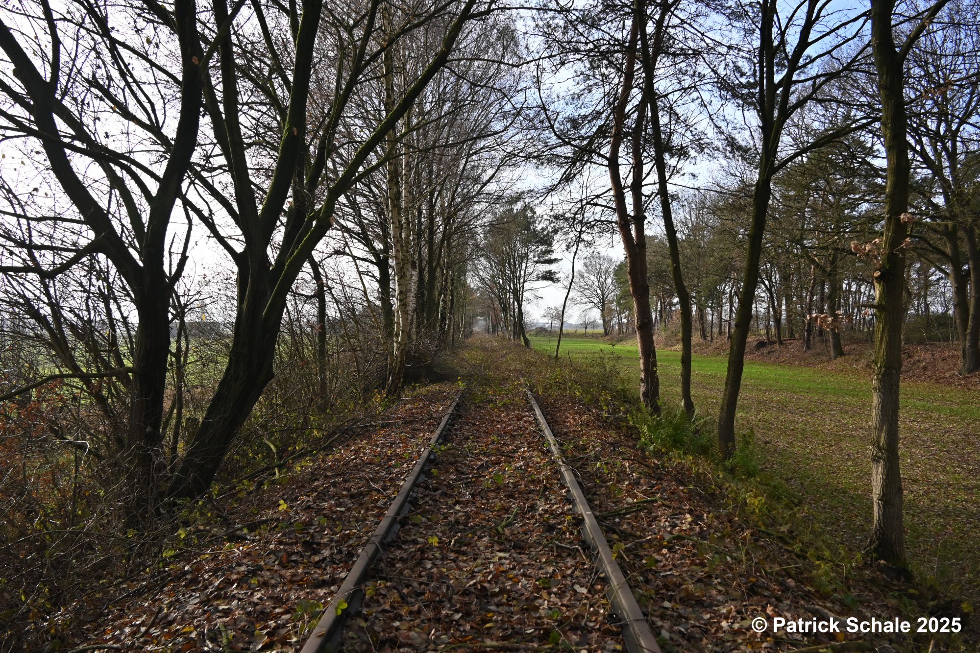 Blick in Richtung Varrel auf den Ende 2025 freigeschnittenen Abschnitt vom Bahnübergang Nach den Hoersten in Richtung Barenburg