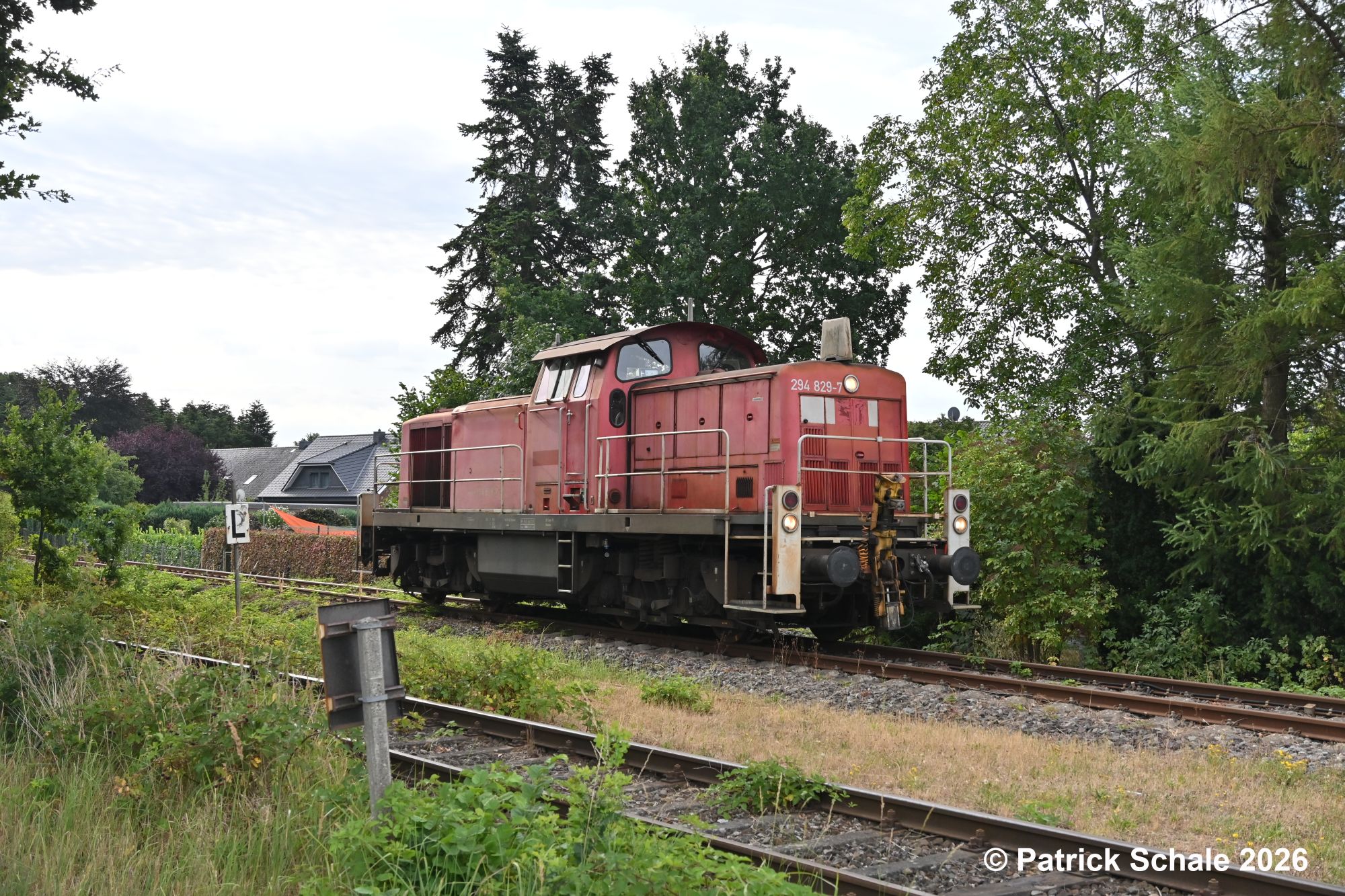 Diesellokomotive der Baureihe 294 passiert in Rehden-Wetschen das im Vordergrund liegende Anschlussgleis zu BTR-Logisitk.