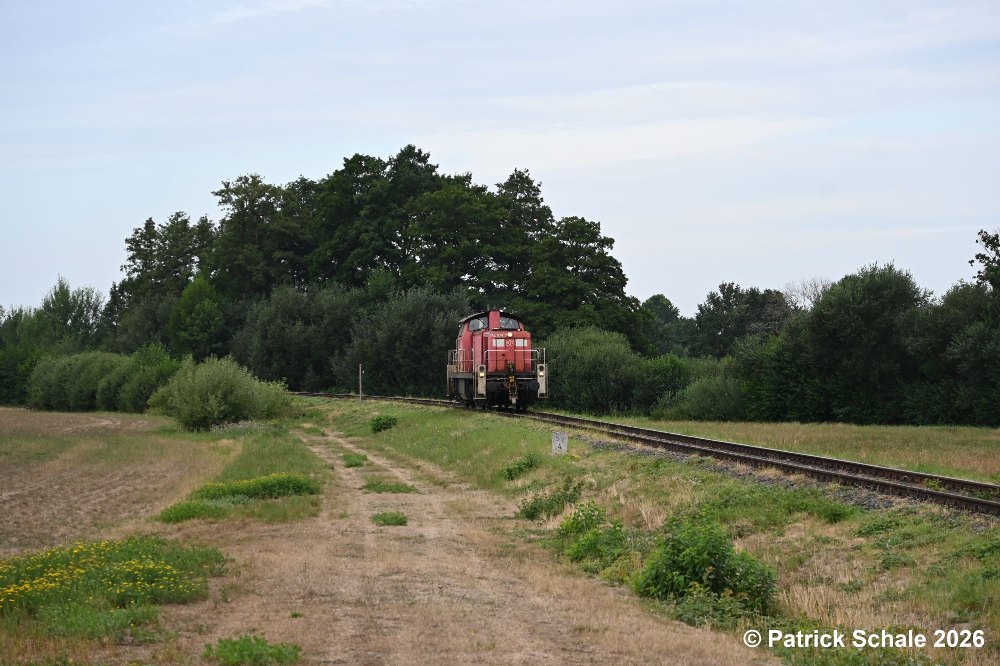 Diesellokomotive der Baureihe 294 hat die Kurve in den Bahnhof Diepholz verlassen und passiert auf der Fahrt nach Sulingen den Kilometer 59,4.