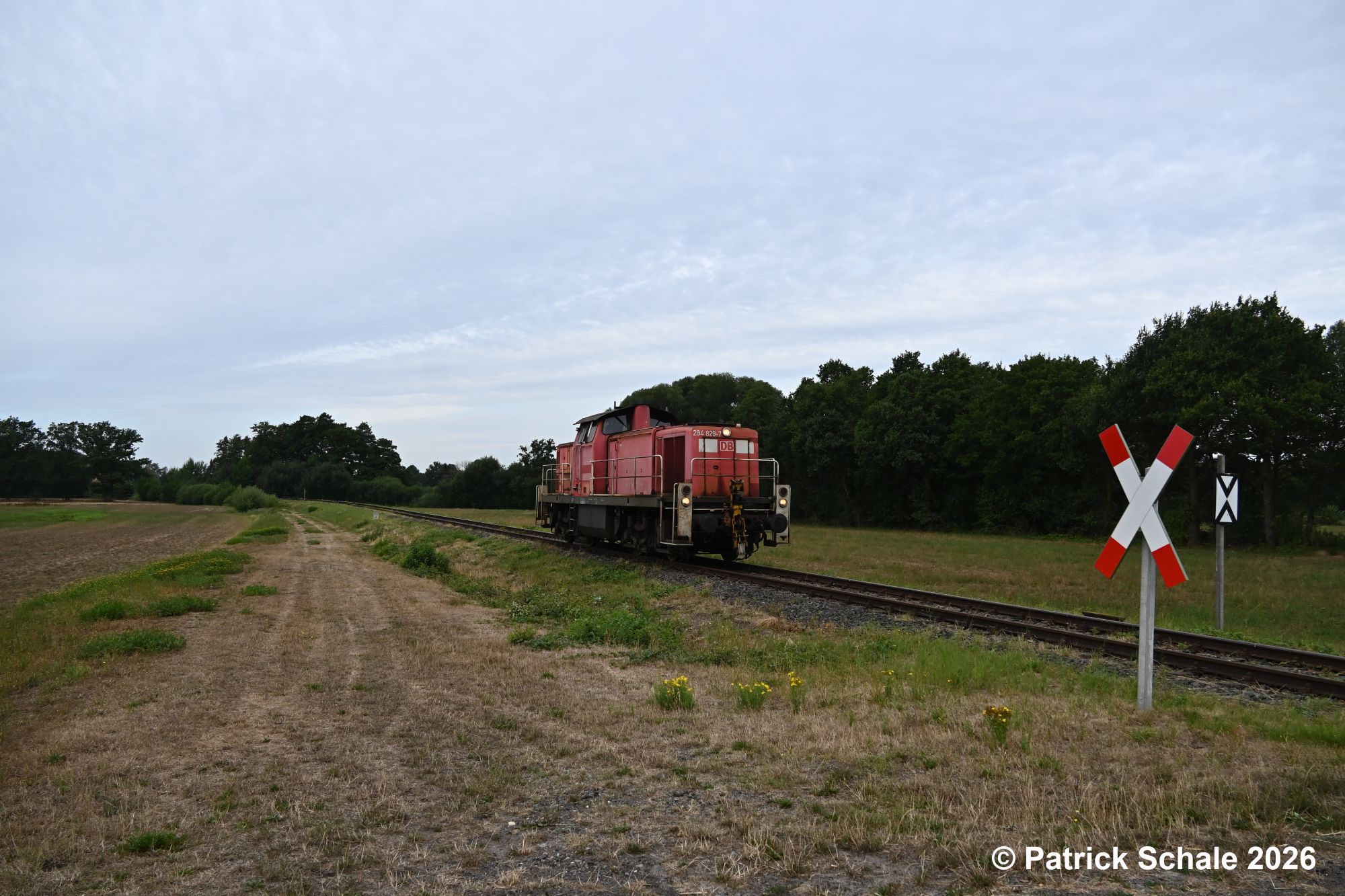 Diesellokomotive der Baureihe 294 hat die Kurve in den Bahnhof Diepholz verlassen und wird nun auf der Fahrt nach Sulingen die Vorsignaltafel zum Einfahrsignal in den Bahnhof Diepholz sowie den Bahnübergang Sankt-Hülfer-Bruchstraße passieren.