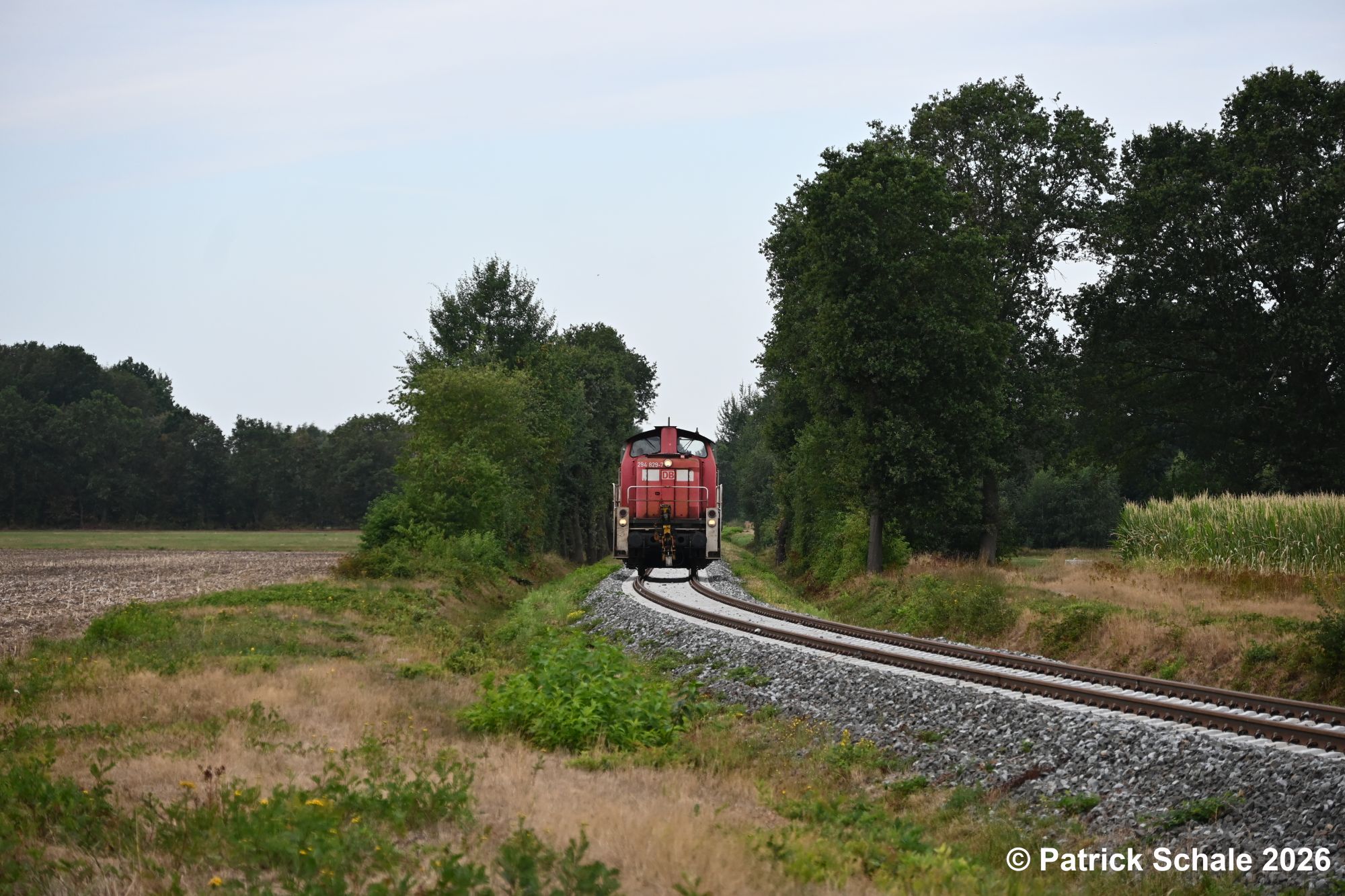 Diesellokomotive der Baureihe 294 zwischen landwirtschaftlichen Flächen, Bäumen und Büschen zwischen Freistatt und Wehrbleck auf dem Weg nach Sulingen