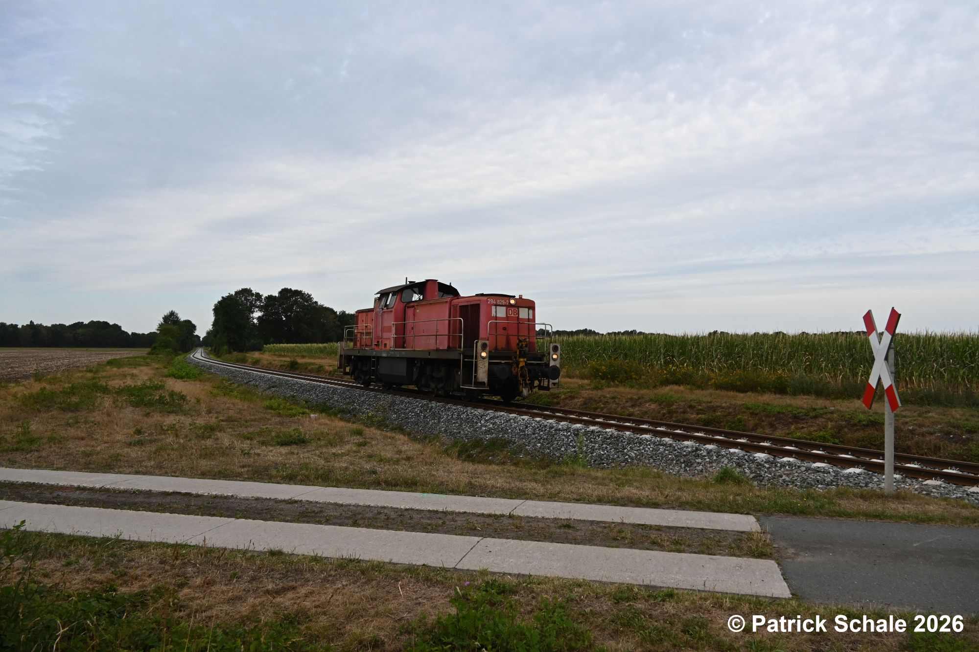 Diesellokomotive der Baureihe 294 zwischen landwirtschaftlichen Flächen, Bäumen und Büschen passiert nun zwischen Freistatt und Wehrbleck einen Bahnübergang von einem Feldweg auf dem Weg nach Sulingen