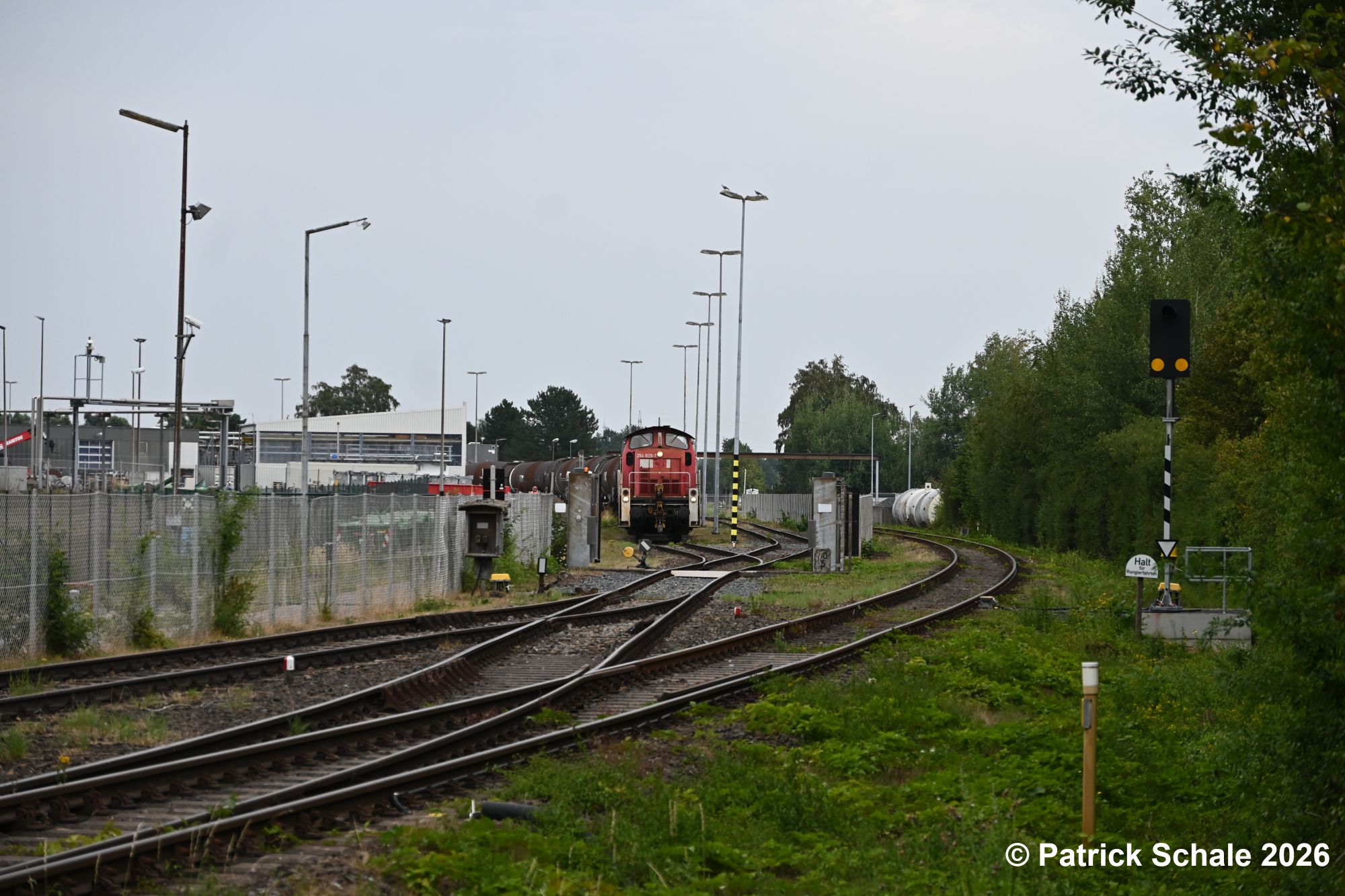 Im Werk von ExxonMobil steht eine Diesellokomotive der Baureihe 294 an einem Kesselwagenpark und wird diesen in Kürze aus dem Werk ziehen. Rechts ist das Steckengleis nach Sulingen und ein Bahnüberwachungssignal zu sehen.